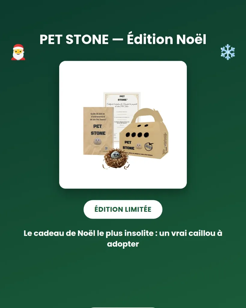 Pet Stone © : Edition Noël